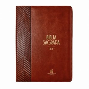 Bíblia Leitura Perfeita com Espaço para Anotações - Luxo Marrom